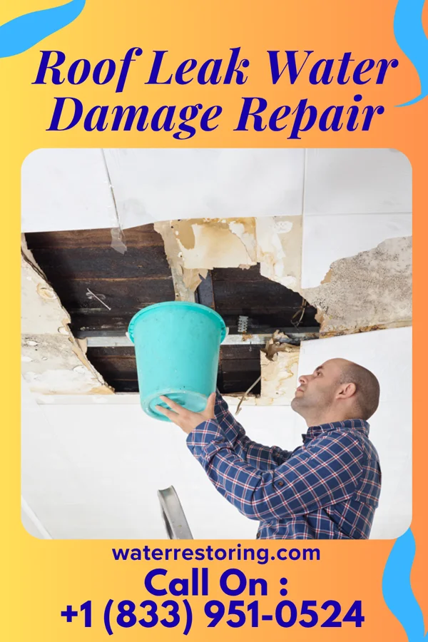 Roof Leak Water Damage Repair in Casselberry, FL