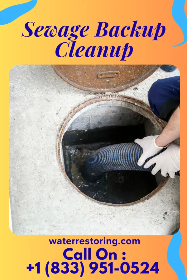 Sewage Backup Cleanup in Casselberry, FL